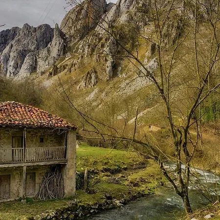 شقة La Arandanera *